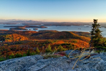 From the summit of Mt. Major in Alton, overlooking Lake Winnipesaukee. The early morning sun illuminating the eastern facing slopes of the rolling hills, covered in vibrant Autumn hues. A lone pine tree stands in the right lower corner of the frame, it's branches shaped by the winds.