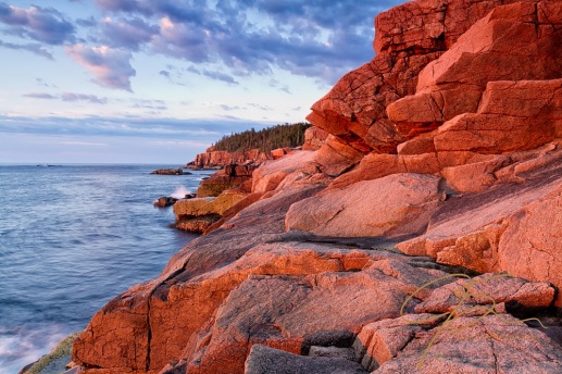 Morning Glow. Otter Cliffs, Acadia National Park, Maine.