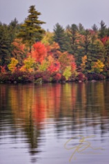 fiery autumn shore on baxter lake, nh