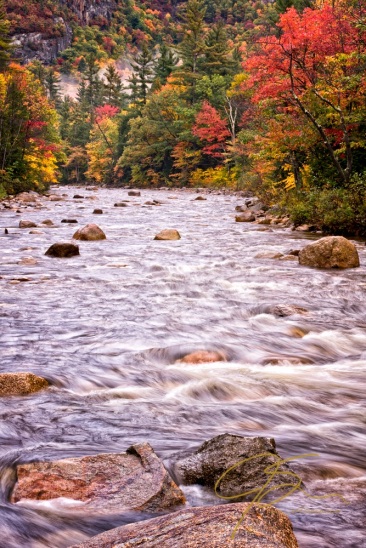 Swift River In Autumn