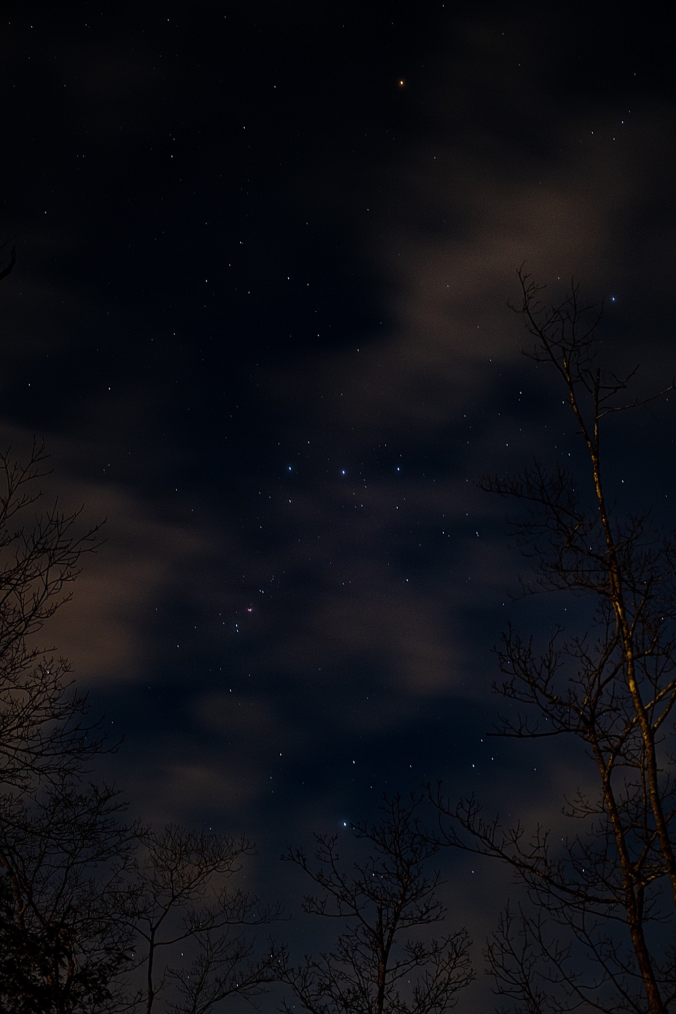 constellation orion in the night sky